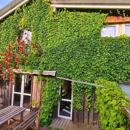 Gruenes Sundchalet * Franken Vorstadt